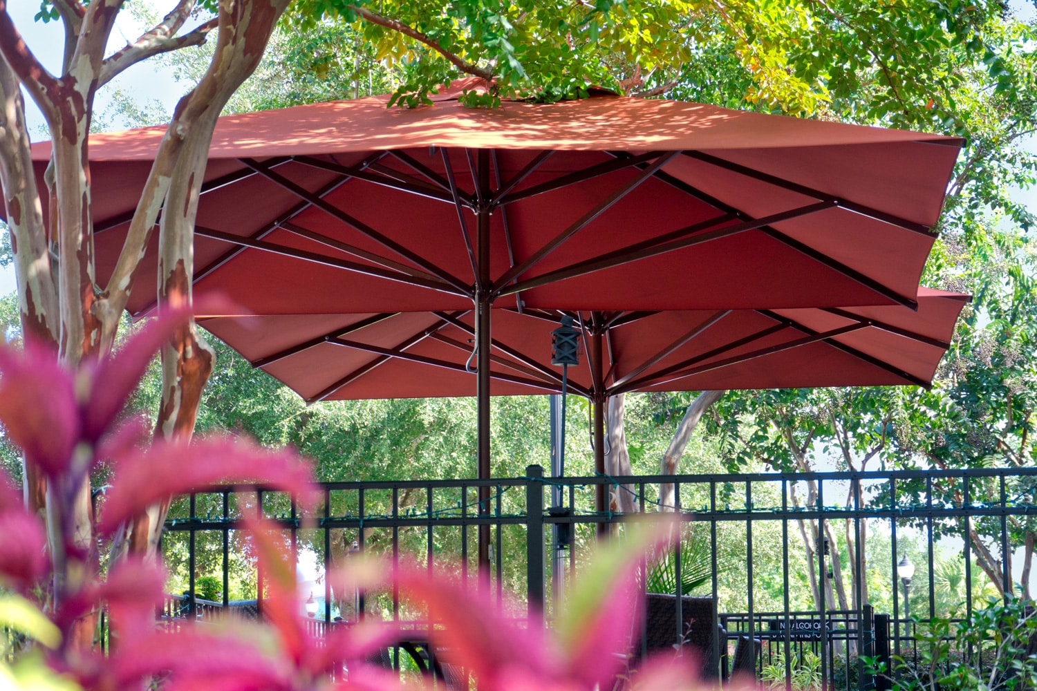 Les parasols